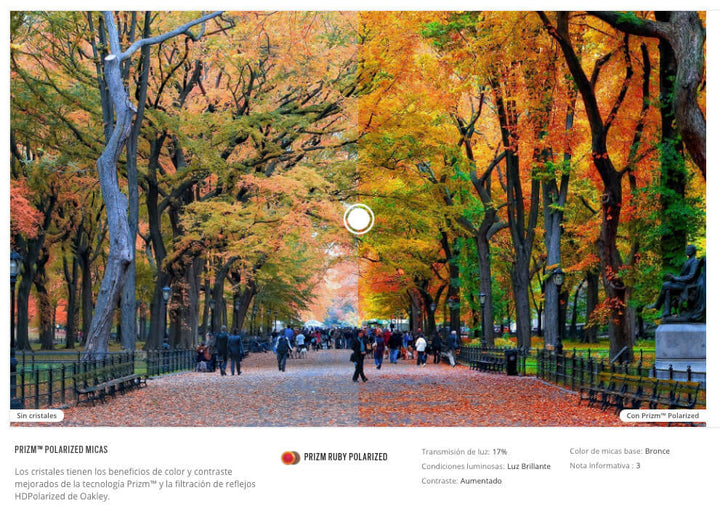 OAKLEY PORTAL MOSS Prizm Ruby Polarized – Gravity Woods